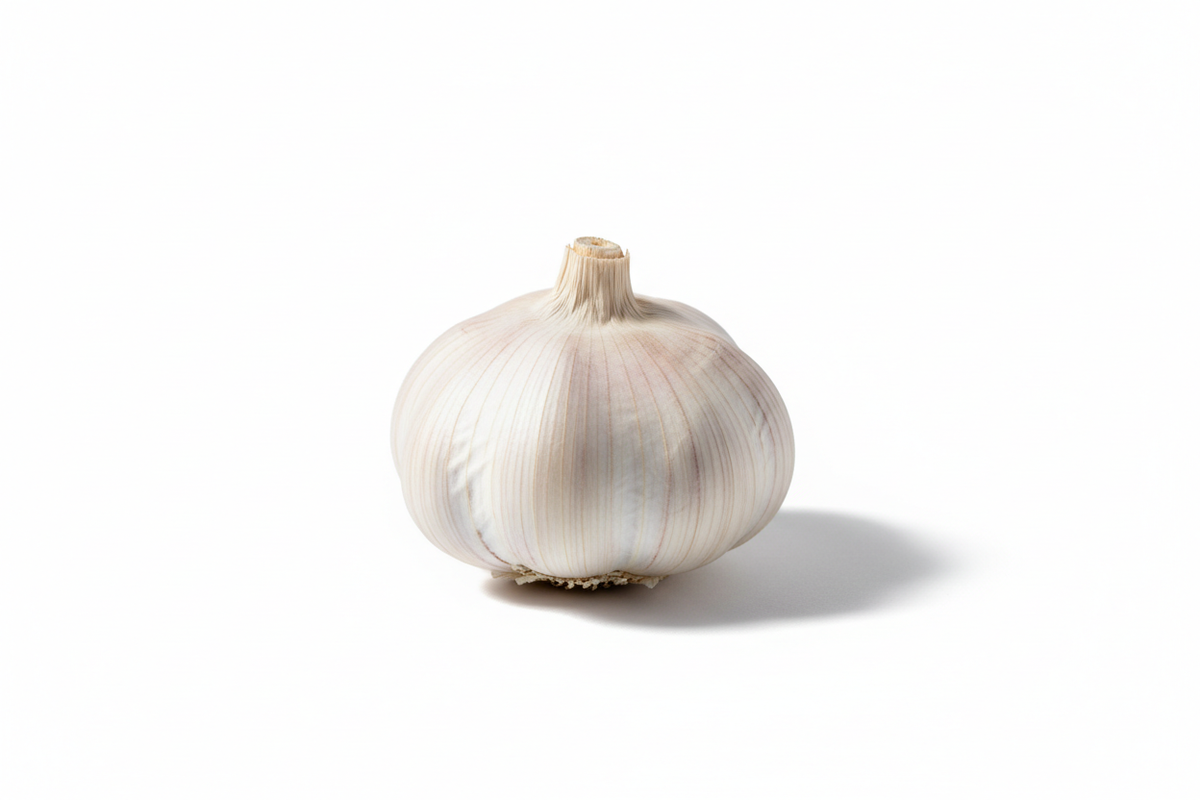 Ajo