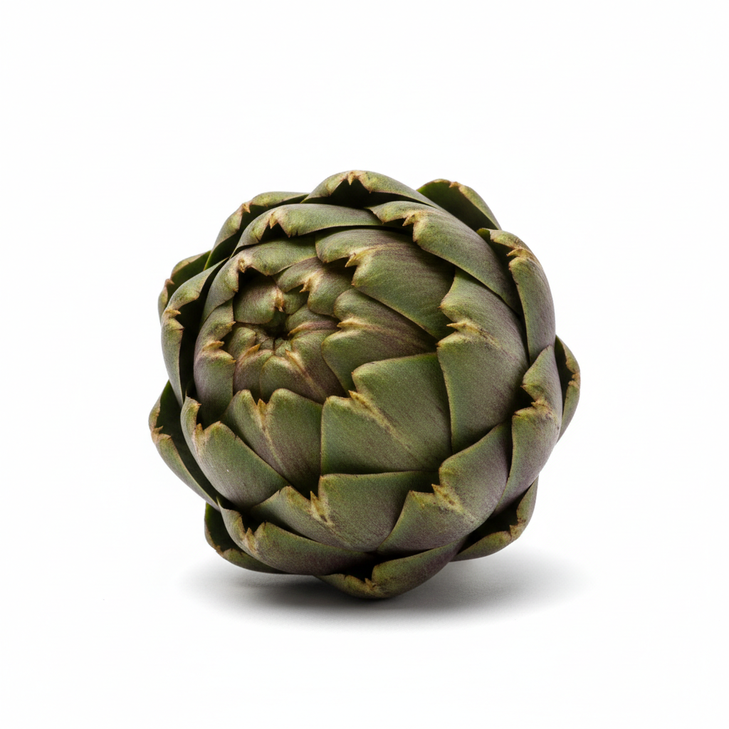 Alcachofa