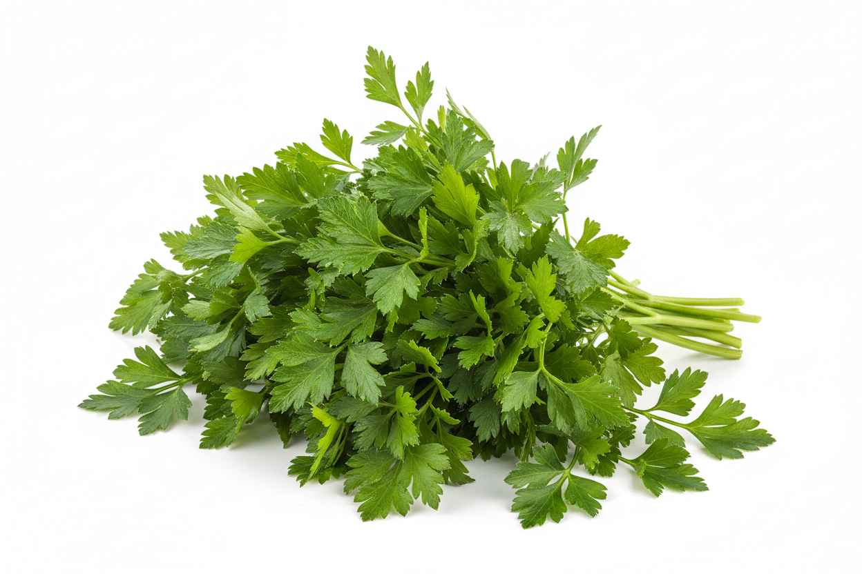 perejil unidad en fondo blanco