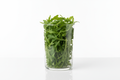 rucula en pote solo las hojas en un pote transparente, fondo blanco